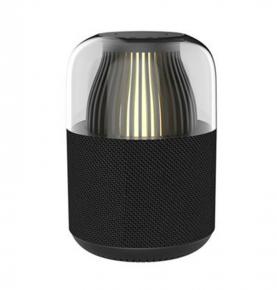 Portable Speaker Y1