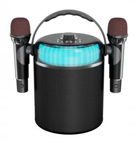 Party Speaker P20